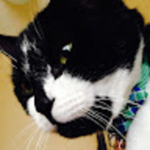 Meet your Posher, C.